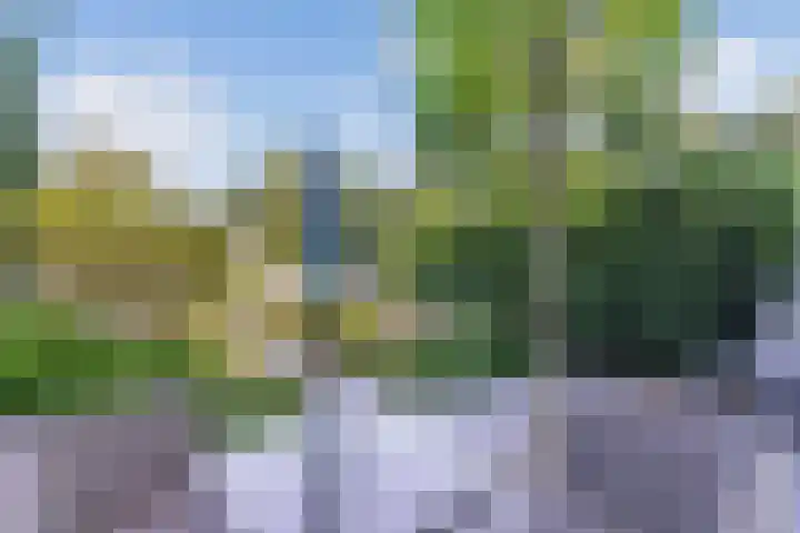 Het Brekkense Wiel 18 Lemmer thumbnail 16