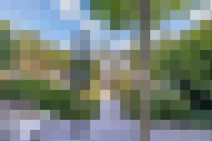 Het Brekkense Wiel 18 Lemmer thumbnail 17