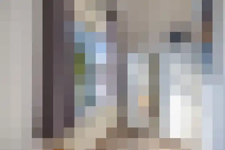 Het Brekkense Wiel 18 Lemmer thumbnail 25