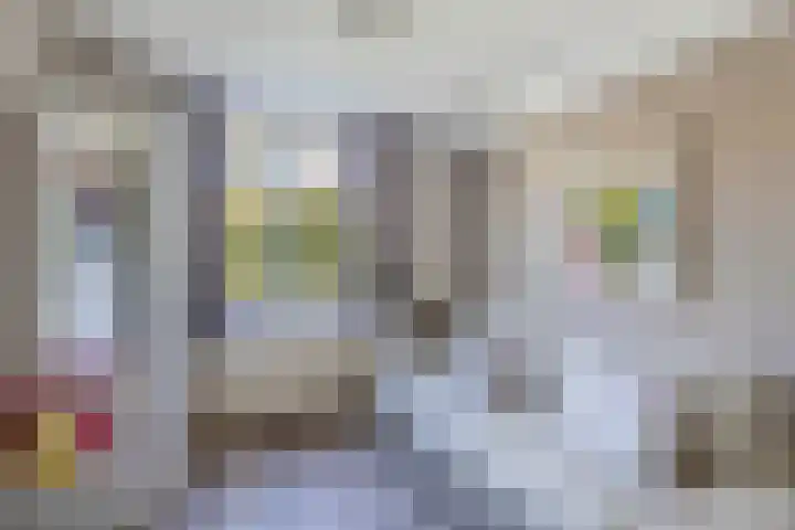 Het Brekkense Wiel 18 Lemmer thumbnail 27