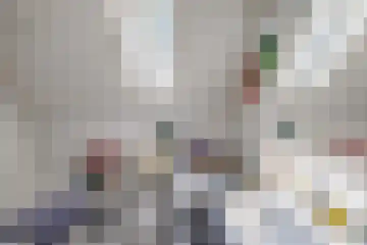 Het Brekkense Wiel 18 Lemmer thumbnail 29