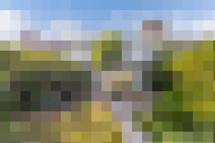 Het Brekkense Wiel 18 Lemmer thumbnail 31