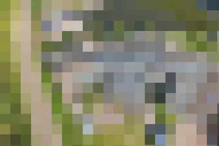 Het Brekkense Wiel 18 Lemmer thumbnail 36