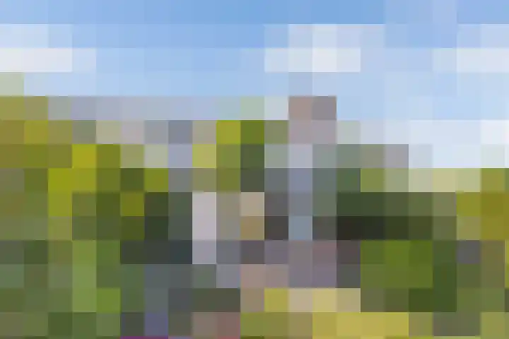 Het Brekkense Wiel 18 Lemmer thumbnail 5