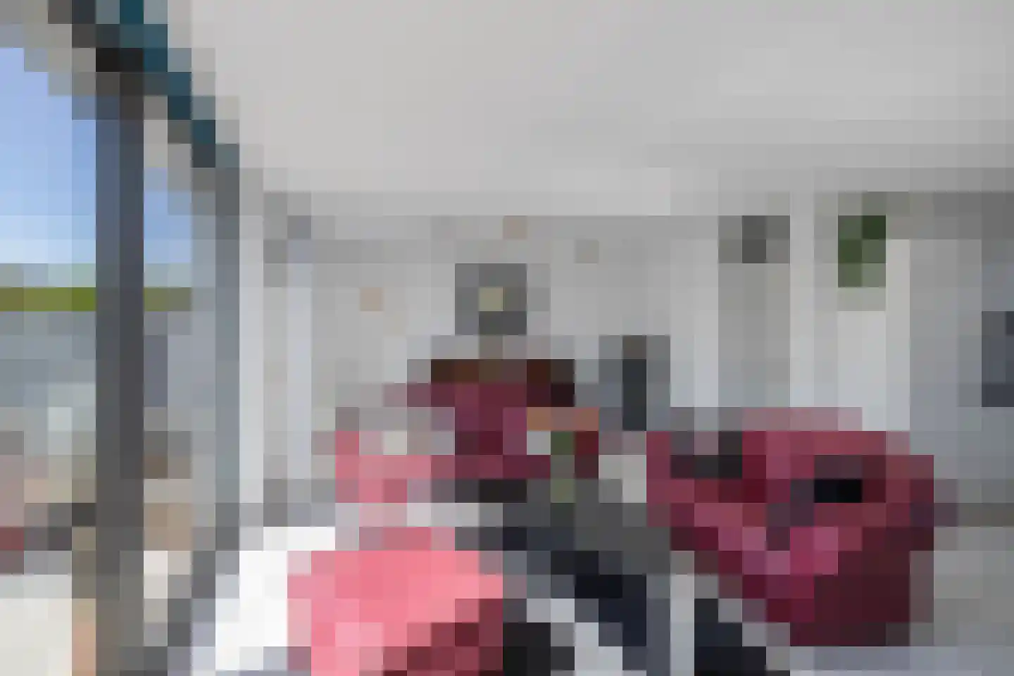Het Brekkense Wiel 186 Lemmer thumbnail 10