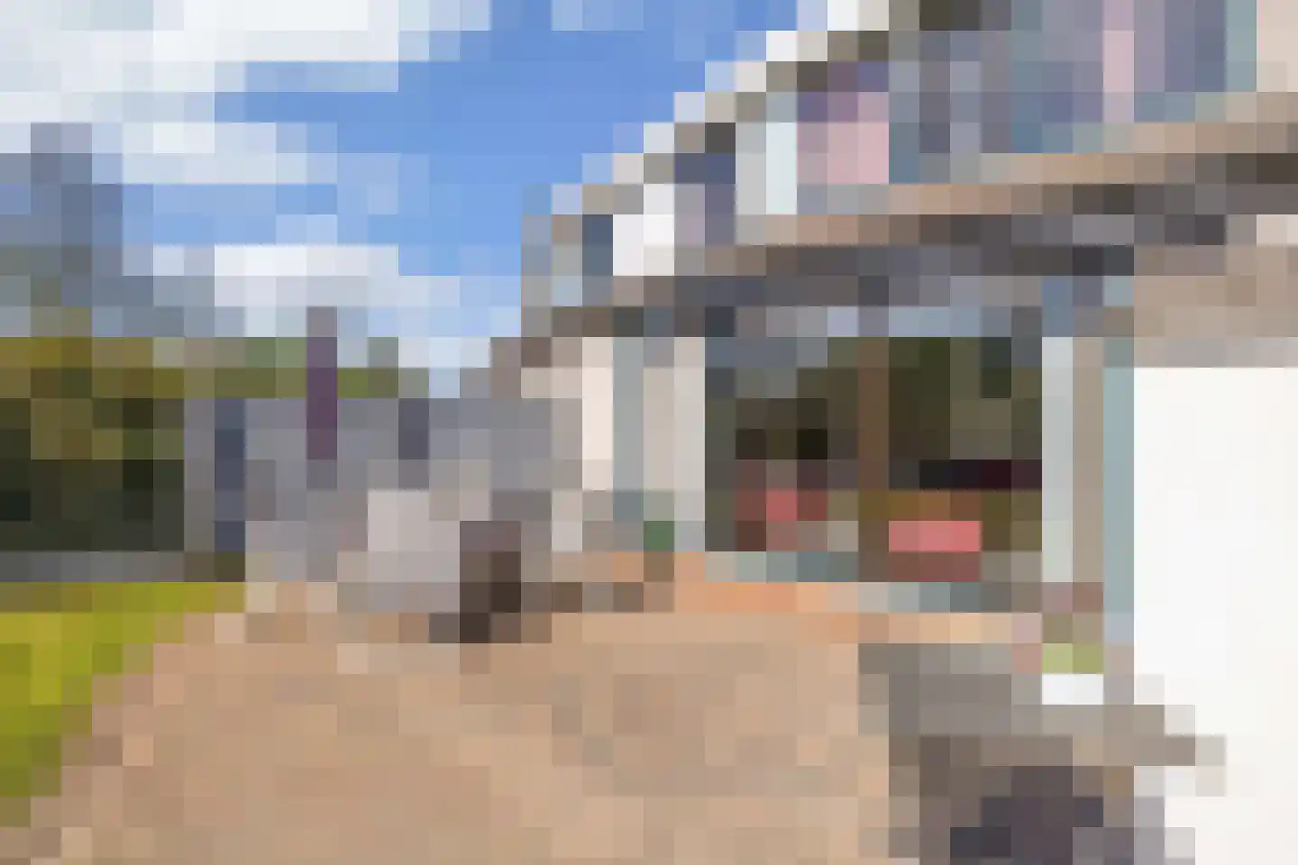Het Brekkense Wiel 186 Lemmer thumbnail 36