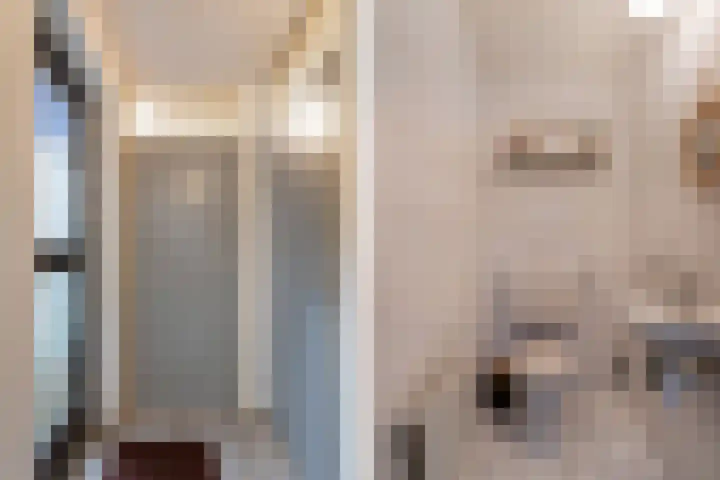 Het Brekkense Wiel 193 Lemmer thumbnail 13