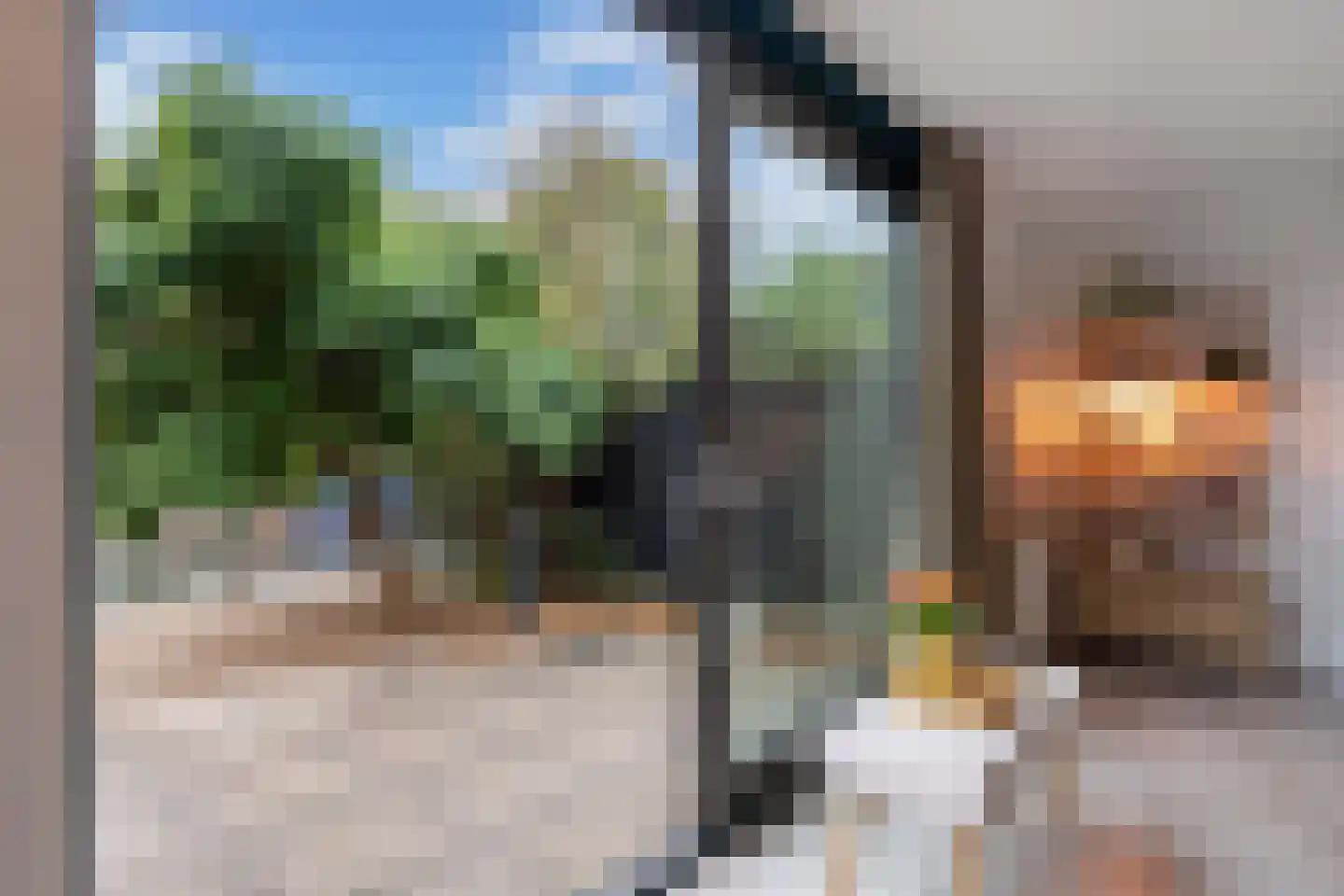 Het Brekkense Wiel 193 Lemmer thumbnail 17