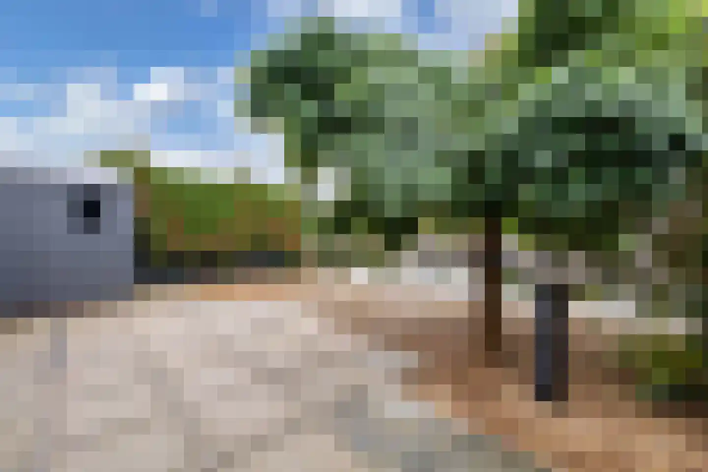 Het Brekkense Wiel 193 Lemmer thumbnail 37