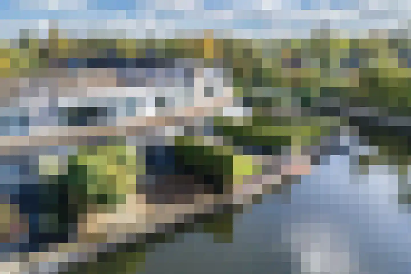 Het Brekkense Wiel 193 Lemmer thumbnail 40