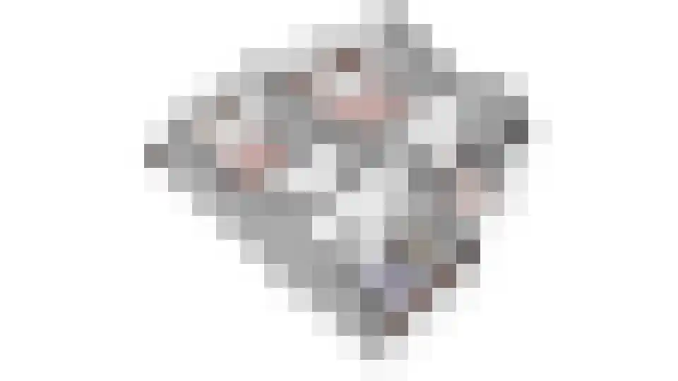 Het Brekkense Wiel 193 Lemmer thumbnail 46