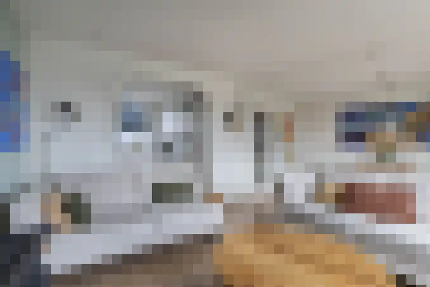 Het Brekkense Wiel 209 Lemmer thumbnail 13