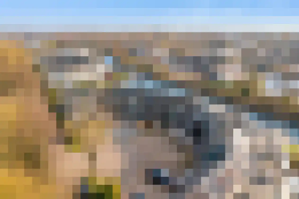 Het Brekkense Wiel 209 Lemmer thumbnail 31