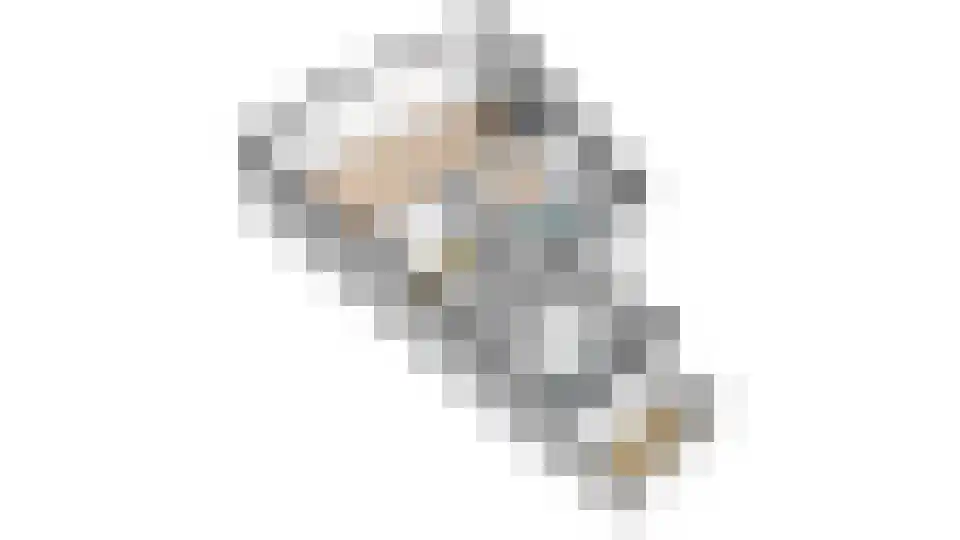 Het Brekkense Wiel 209 Lemmer thumbnail 34