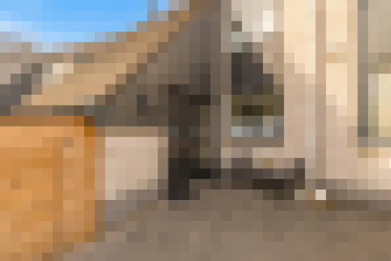 Het Brekkense Wiel 209 Lemmer thumbnail 6