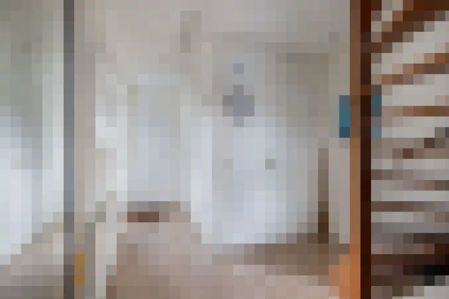 Het Brekkense Wiel 209 Lemmer thumbnail 8