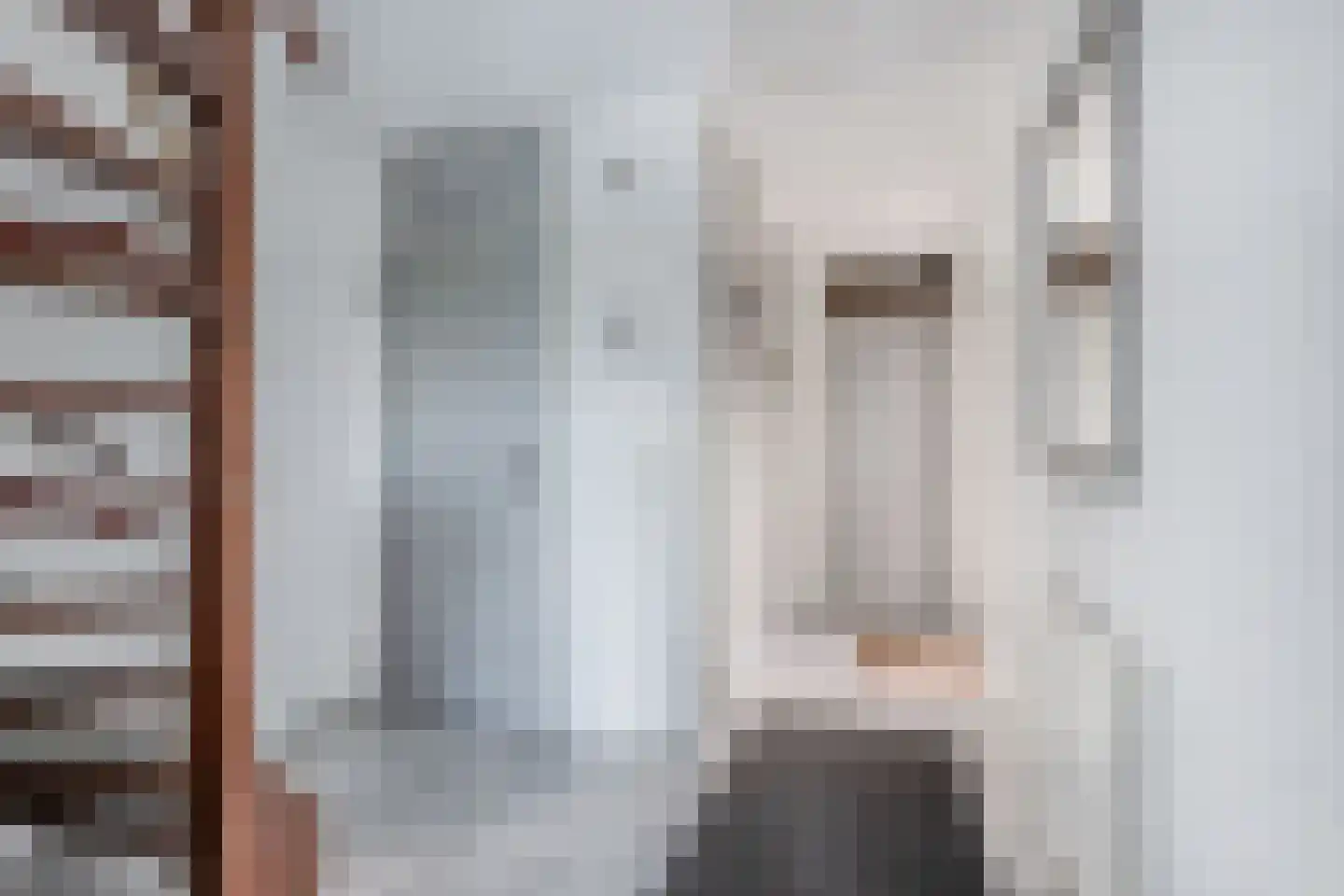 Het Brekkense Wiel 212 Lemmer thumbnail 11