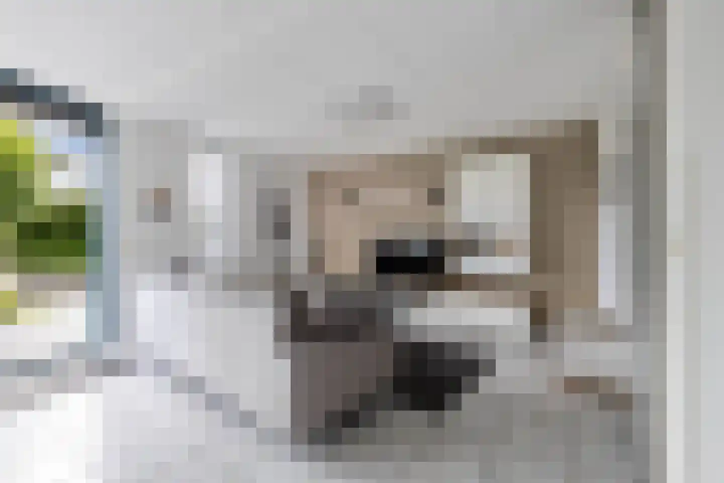 Het Brekkense Wiel 212 Lemmer thumbnail 13