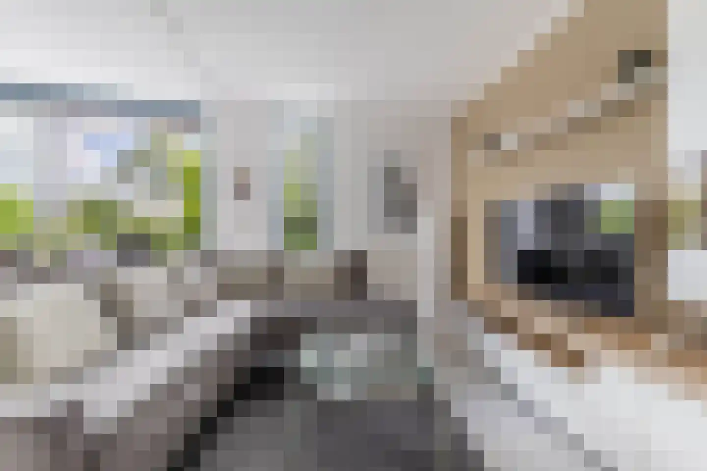 Het Brekkense Wiel 212 Lemmer thumbnail 14