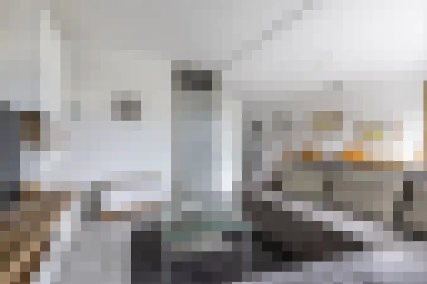 Het Brekkense Wiel 212 Lemmer thumbnail 16