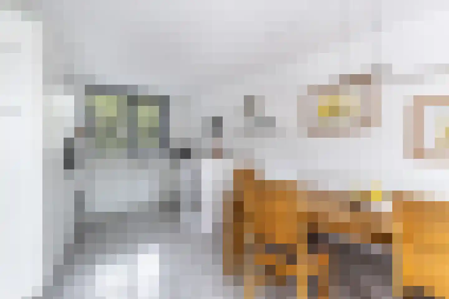 Het Brekkense Wiel 212 Lemmer thumbnail 18