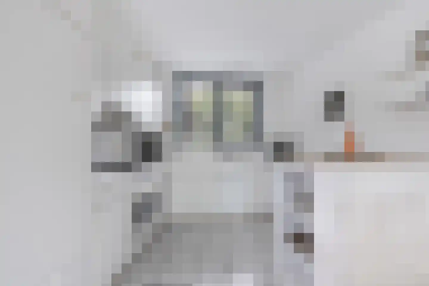 Het Brekkense Wiel 212 Lemmer thumbnail 19