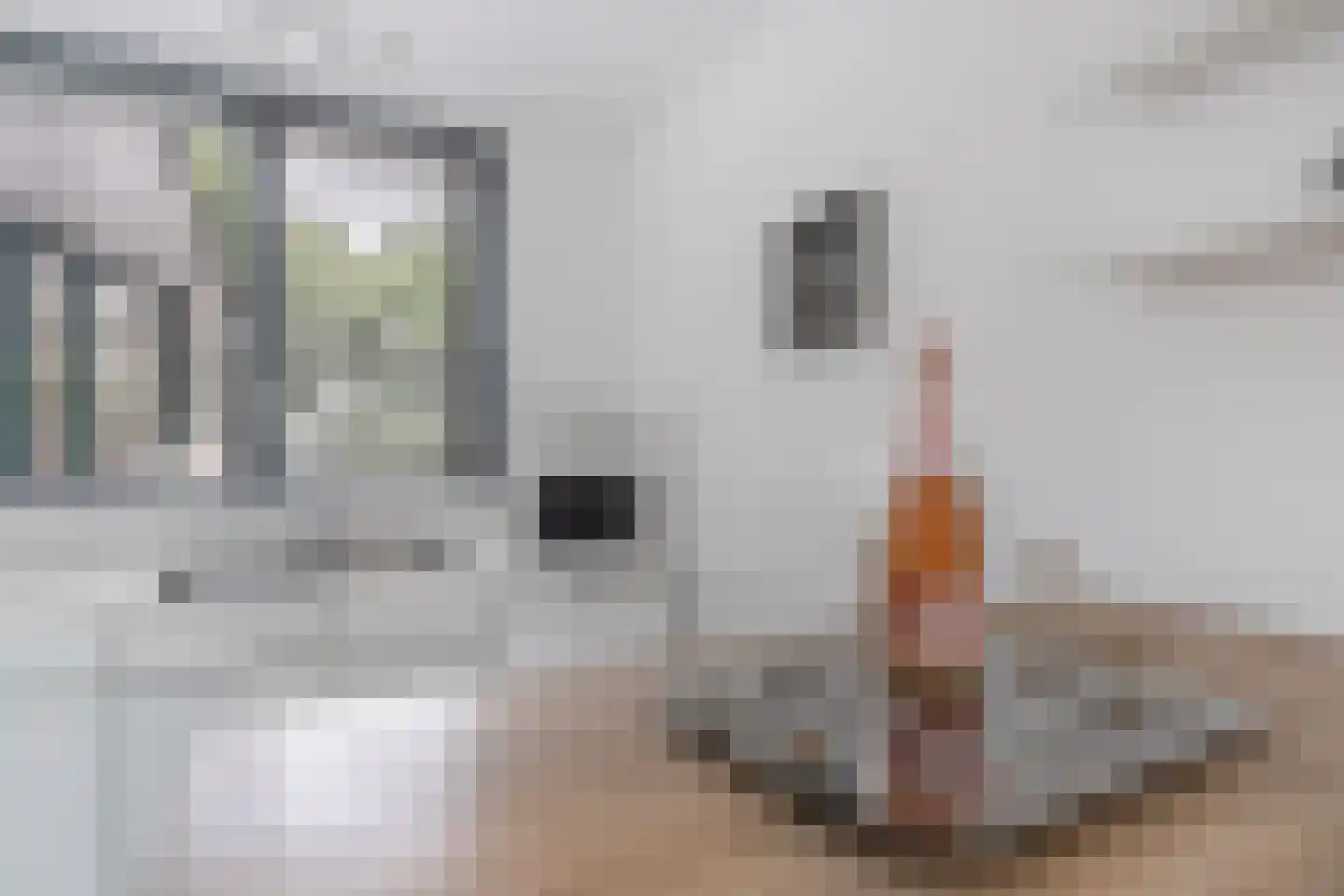 Het Brekkense Wiel 212 Lemmer thumbnail 21