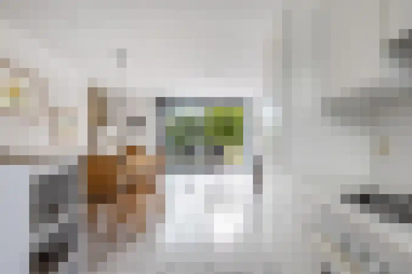 Het Brekkense Wiel 212 Lemmer thumbnail 23