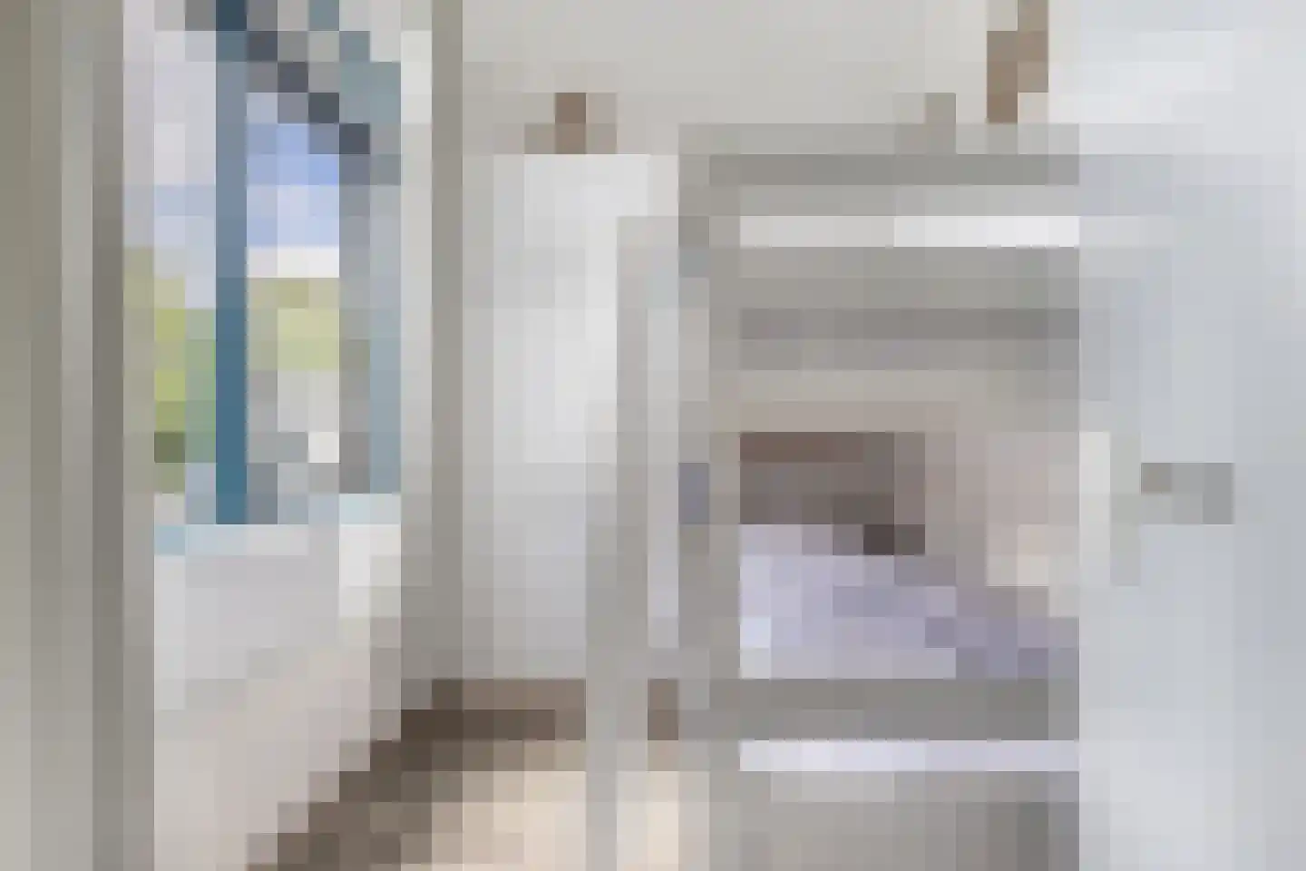 Het Brekkense Wiel 212 Lemmer thumbnail 25