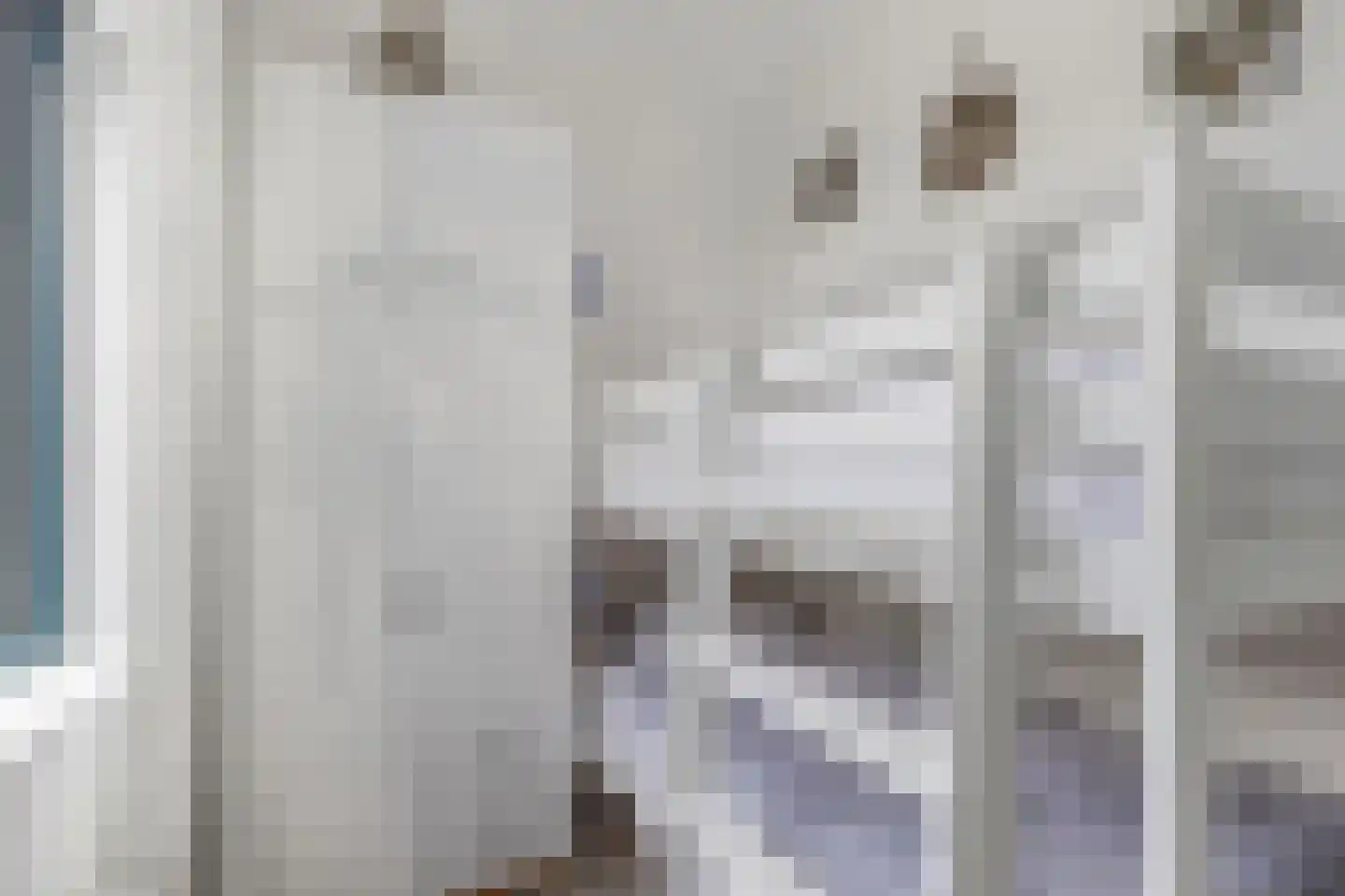 Het Brekkense Wiel 212 Lemmer thumbnail 26