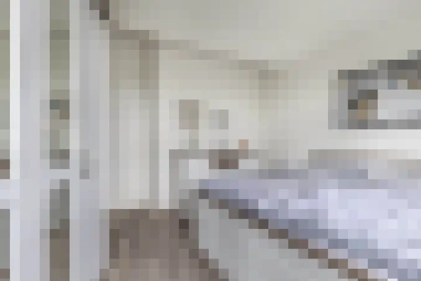 Het Brekkense Wiel 212 Lemmer thumbnail 30