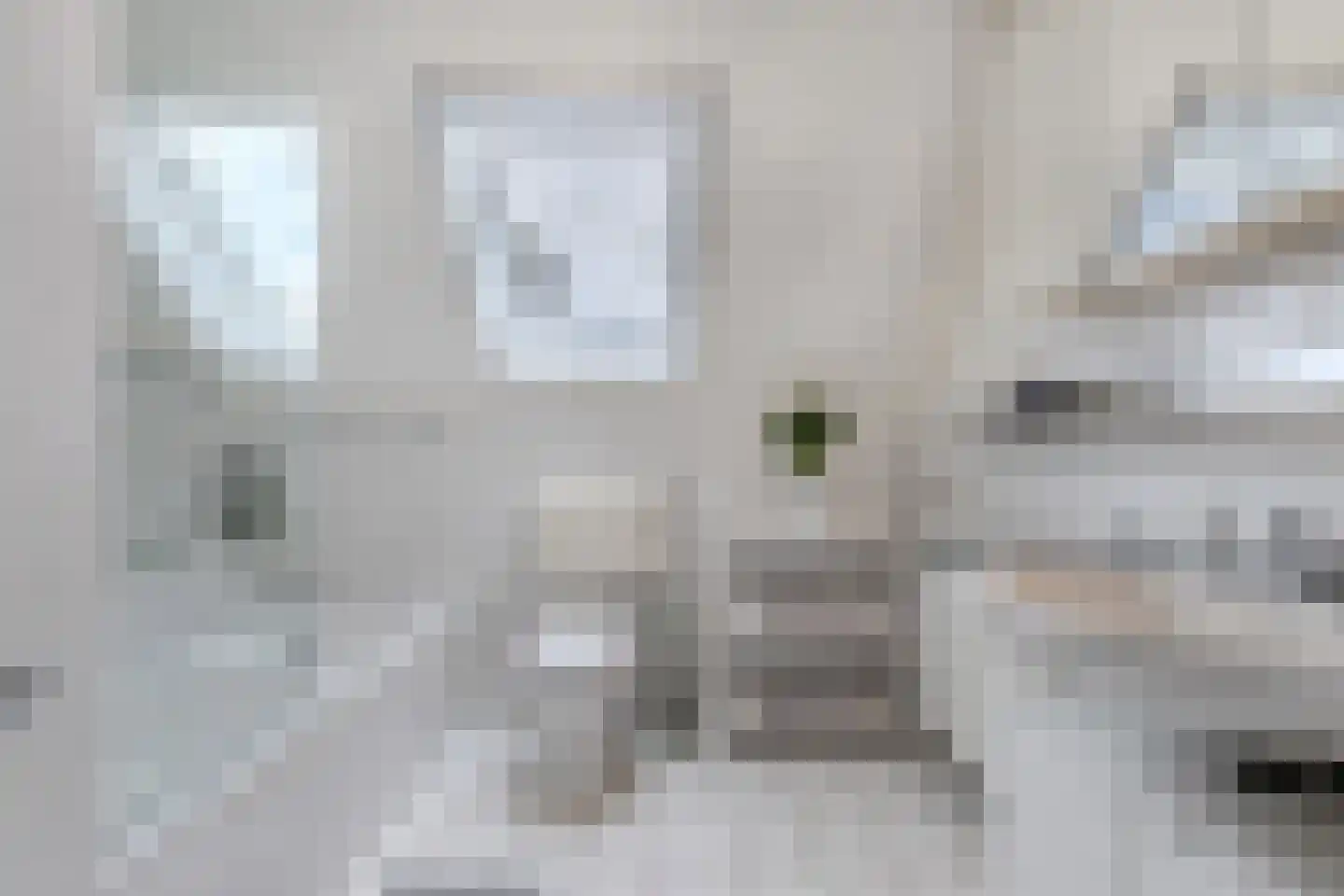 Het Brekkense Wiel 212 Lemmer thumbnail 4