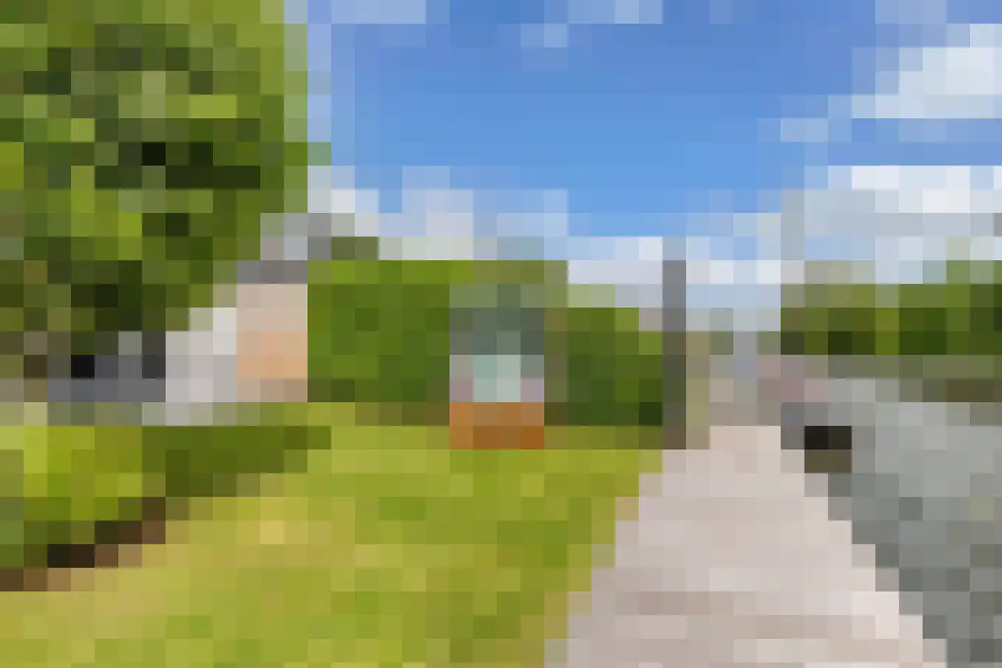 Het Brekkense Wiel 212 Lemmer thumbnail 40