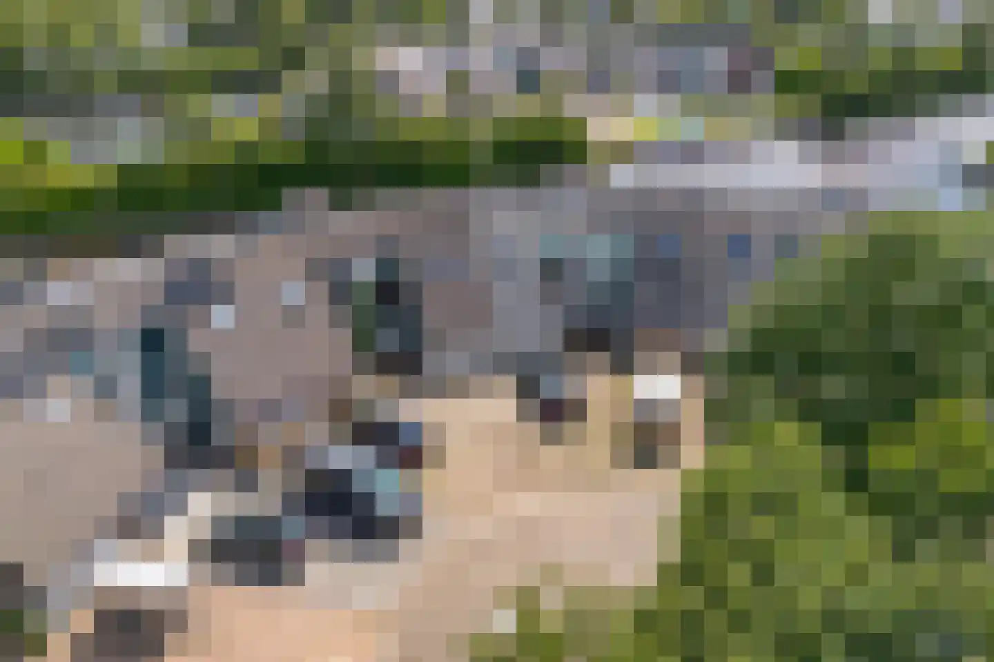 Het Brekkense Wiel 212 Lemmer thumbnail 47
