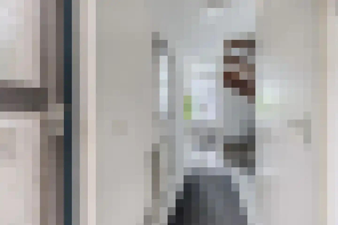 Het Brekkense Wiel 212 Lemmer thumbnail 9