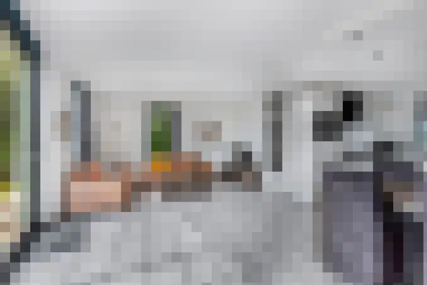 Het Brekkense Wiel 230 Lemmer thumbnail 13