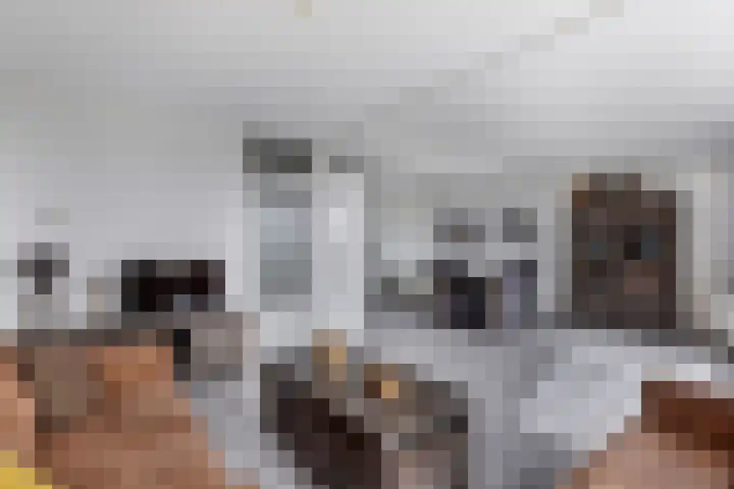 Het Brekkense Wiel 230 Lemmer thumbnail 15