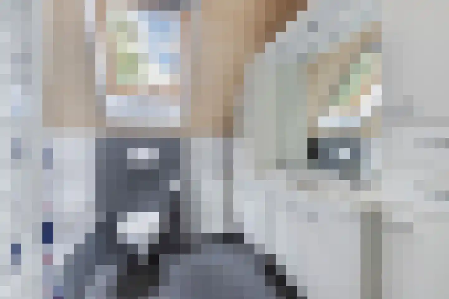 Het Brekkense Wiel 230 Lemmer thumbnail 27