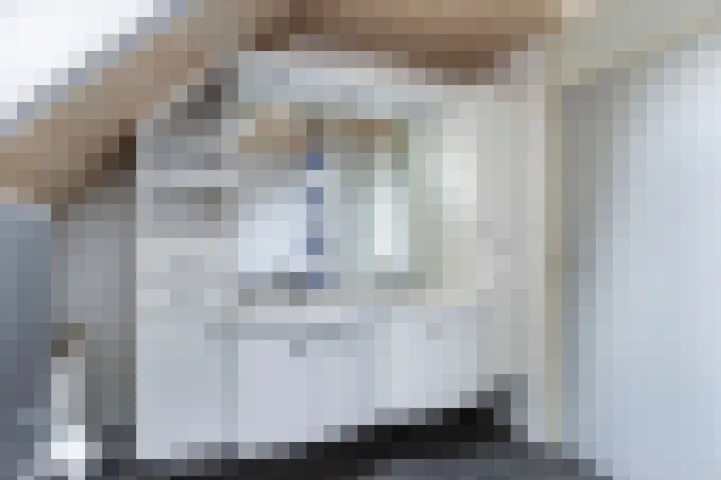 Het Brekkense Wiel 230 Lemmer thumbnail 29