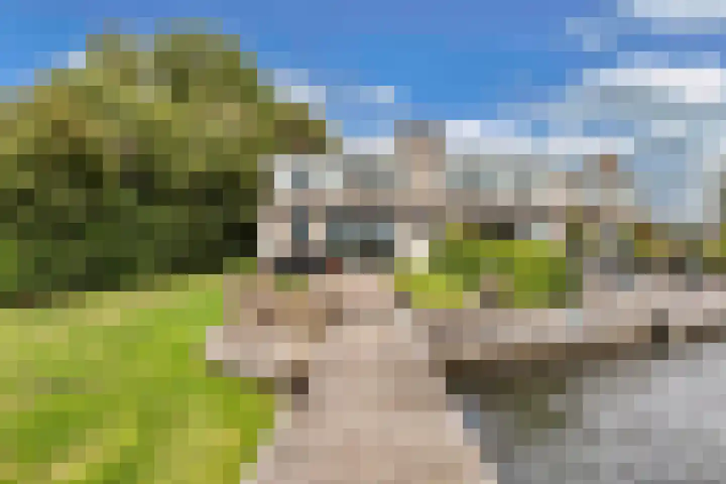 Het Brekkense Wiel 230 Lemmer thumbnail 30