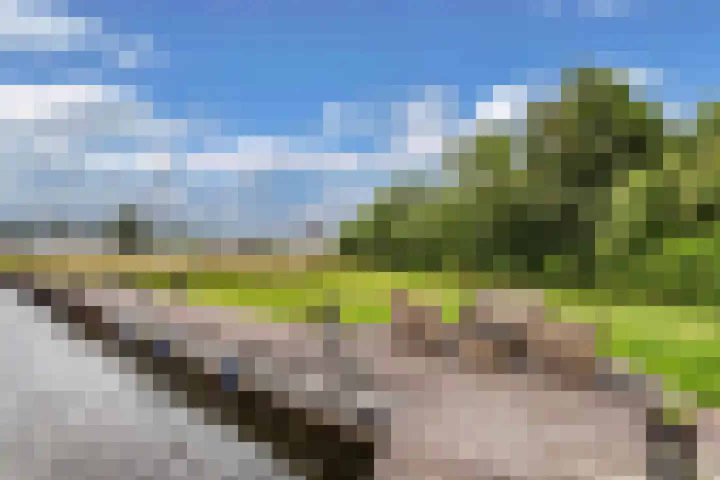 Het Brekkense Wiel 230 Lemmer thumbnail 35