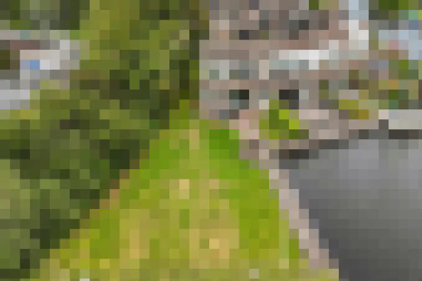 Het Brekkense Wiel 230 Lemmer thumbnail 41