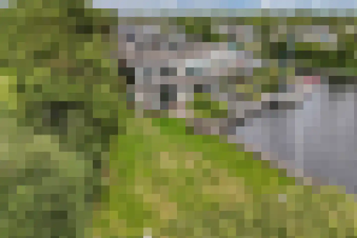 Het Brekkense Wiel 230 Lemmer thumbnail 42