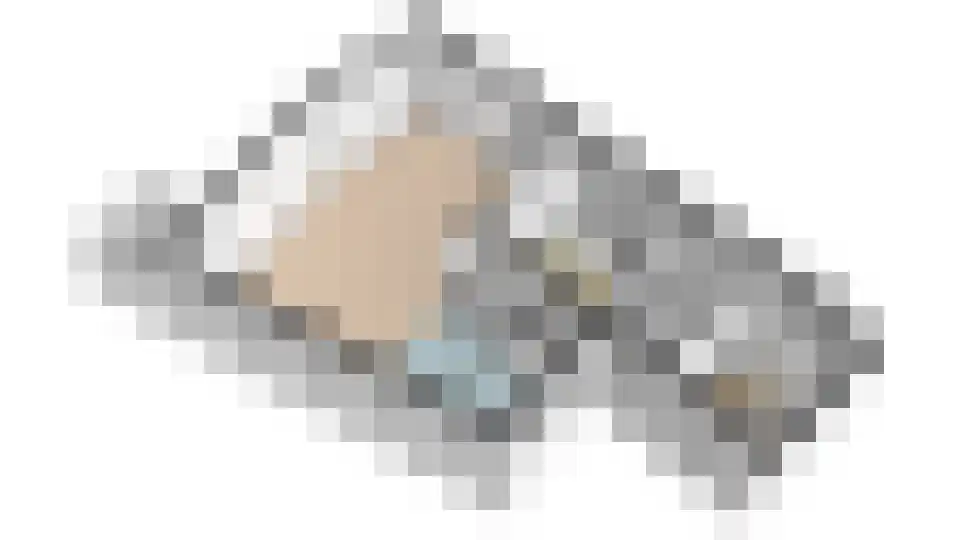 Het Brekkense Wiel 230 Lemmer thumbnail 52