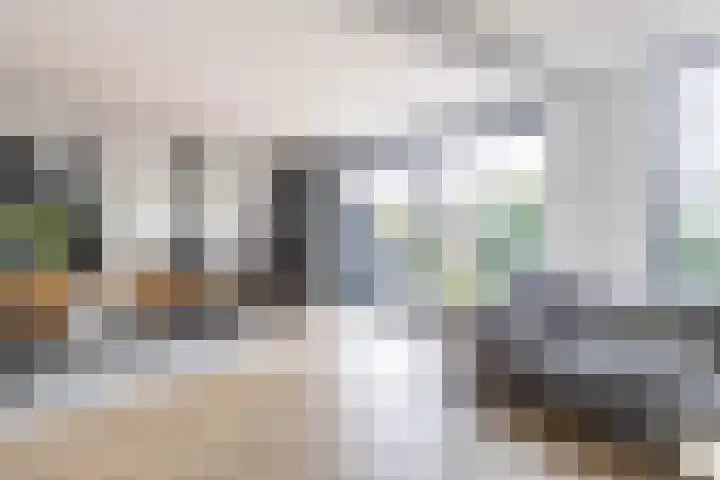 Het Brekkense Wiel 30 Lemmer thumbnail 10