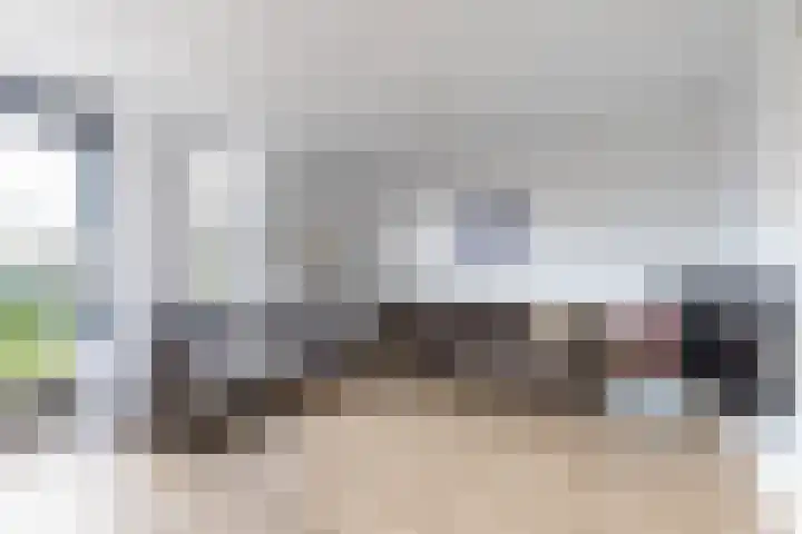 Het Brekkense Wiel 30 Lemmer thumbnail 13
