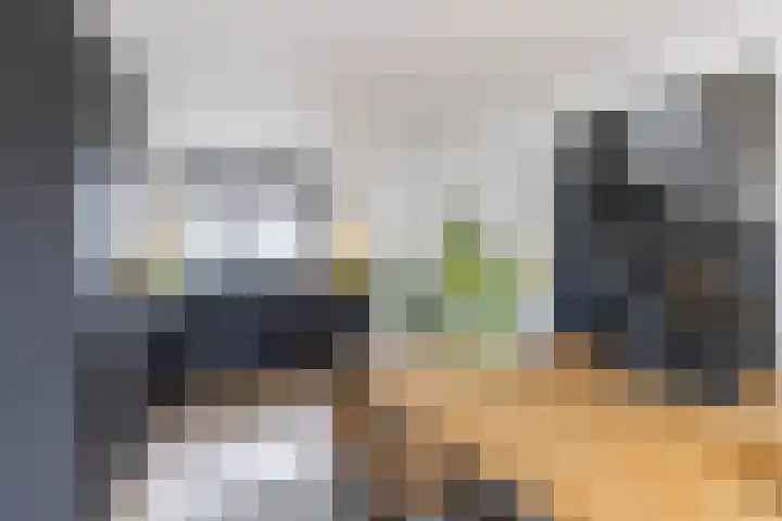 Het Brekkense Wiel 30 Lemmer thumbnail 15