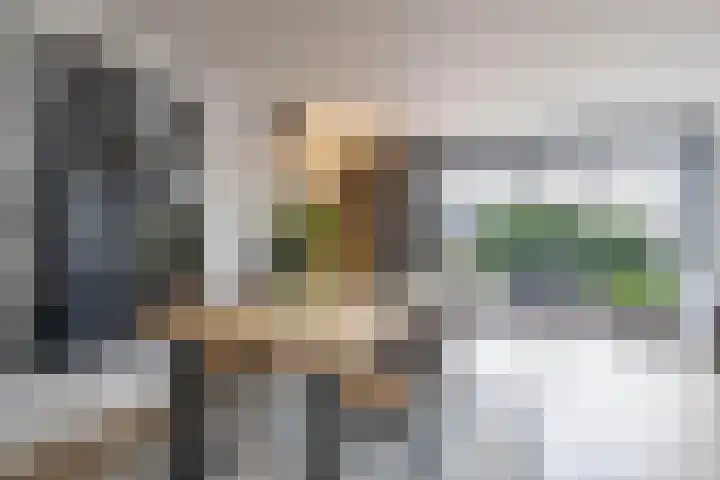 Het Brekkense Wiel 30 Lemmer thumbnail 16
