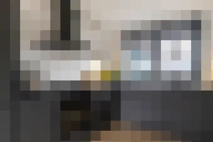 Het Brekkense Wiel 30 Lemmer thumbnail 18