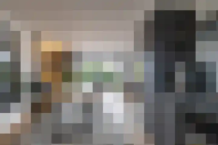 Het Brekkense Wiel 30 Lemmer thumbnail 19